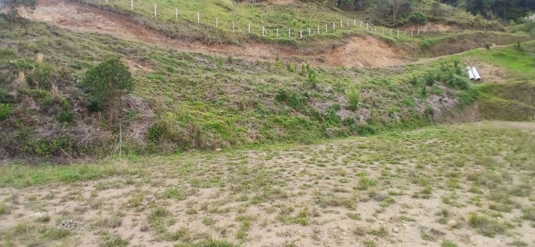 Lote en venta en Pantanillo, El Retiro, 5000 m² · foto 14 de 23