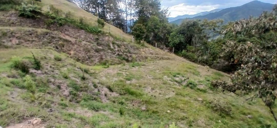 Lote en venta en Pantanillo, El Retiro, 5000 m² · foto 17 de 23