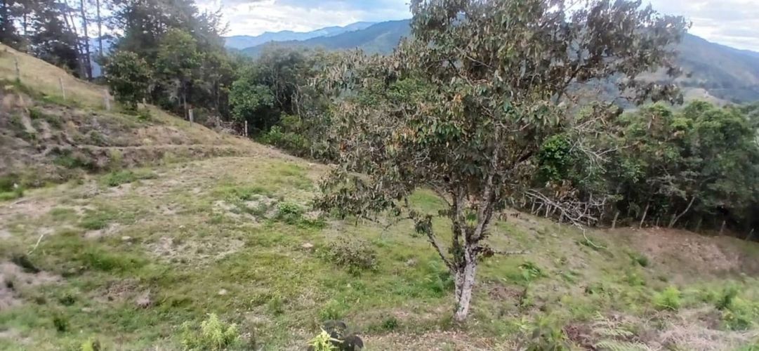 Lote en venta en Pantanillo, El Retiro, 5000 m² · foto 18 de 23