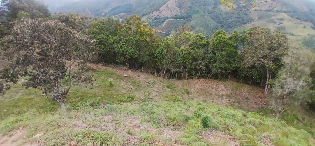 Lote en venta en Pantanillo, El Retiro, 5000 m² · foto 20 de 23