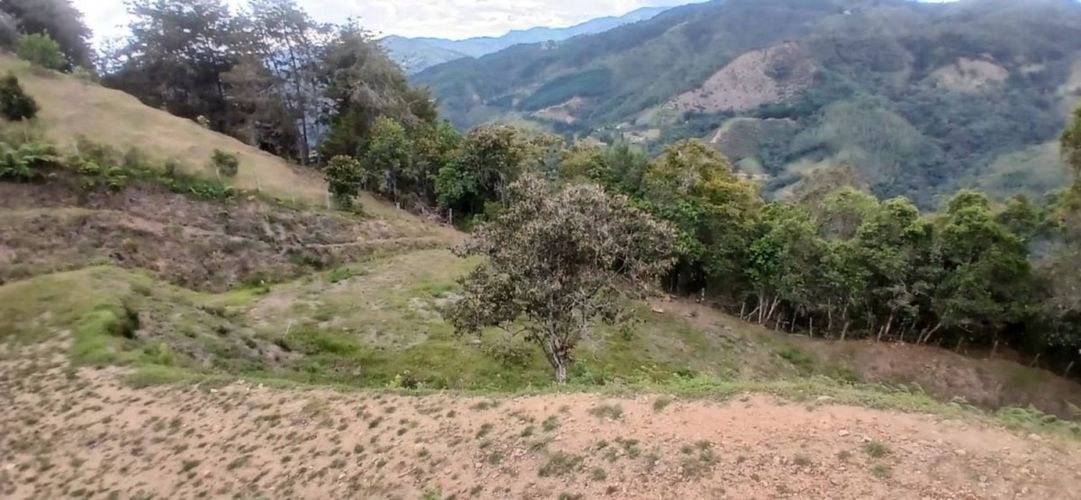 Lote en venta en Pantanillo, El Retiro, 5000 m² · foto 21 de 23