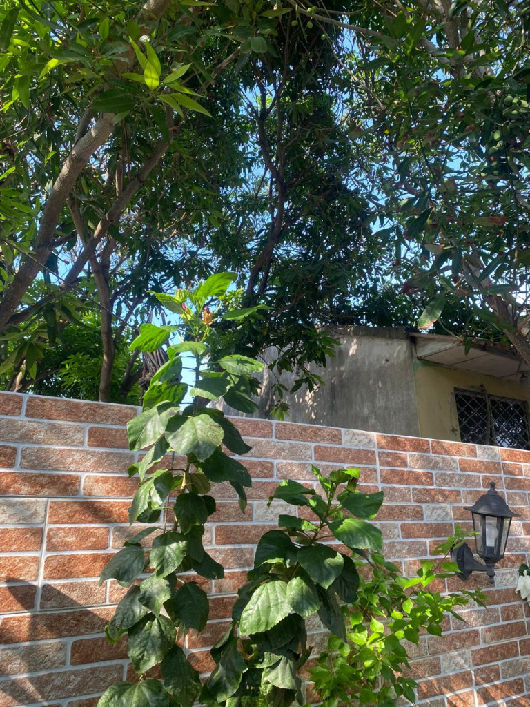 Casa en venta en Ciudad Jardin, Barranquilla · foto 18 de 24