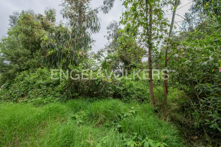 Lote en venta en Chuntame, Cajicá · foto 4 de 7