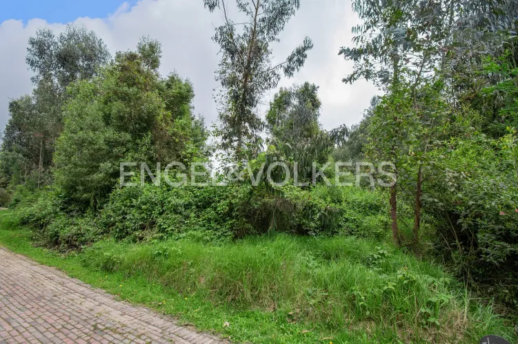 Lote en venta en Chuntame, Cajicá · foto 3 de 7