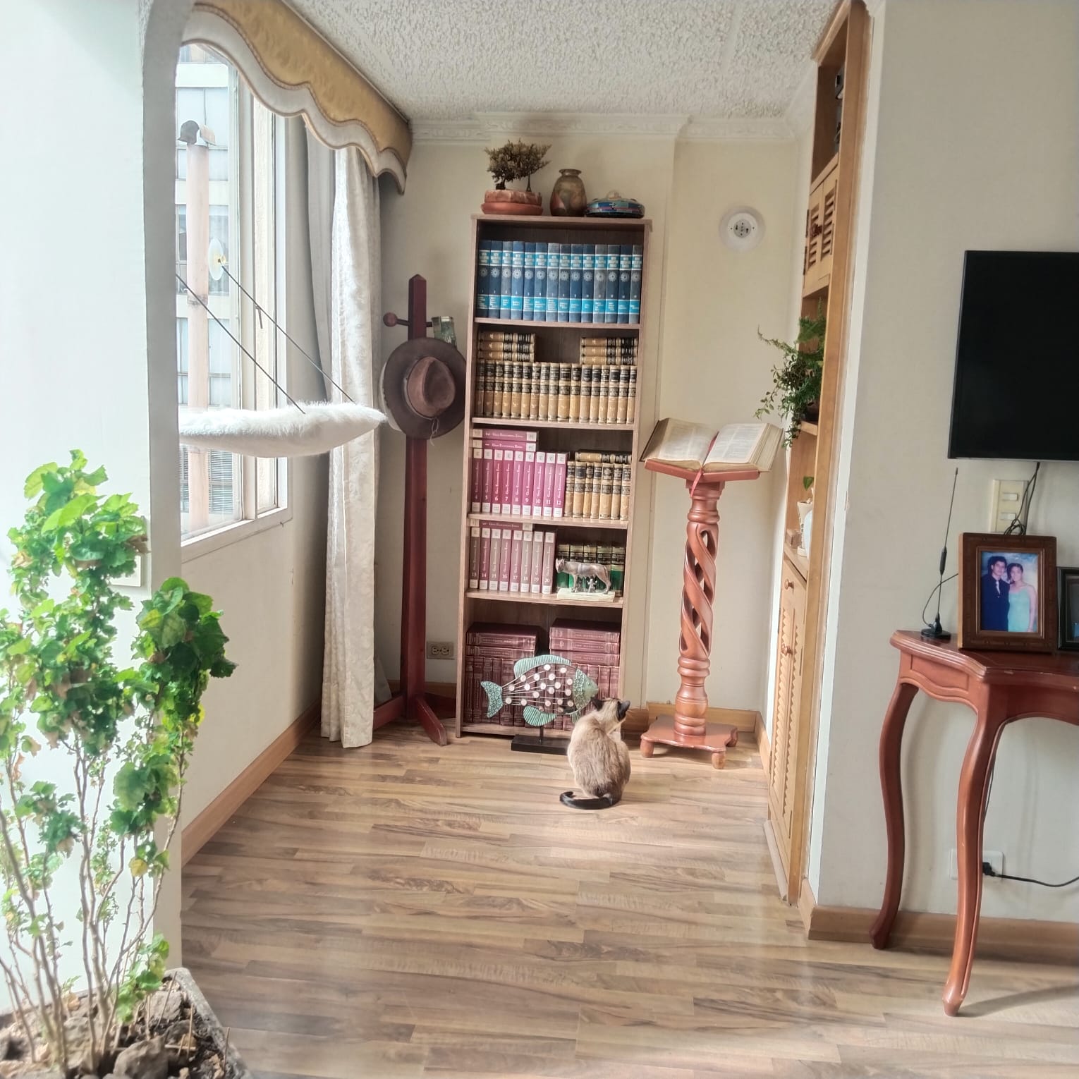 Apartamento en venta en Cedritos, Bogotá · foto 6 de 20