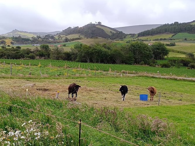 Finca en venta en Romeral, Soacha, 15100 m² · foto 13 de 18