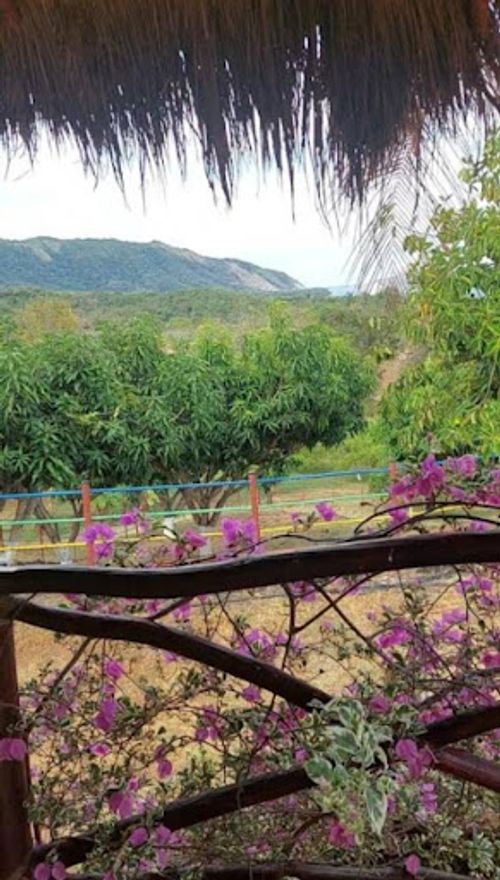Finca en venta en Las Varas, Ricaurte, 400 m² · foto 9 de 16