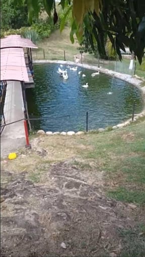 Finca en venta en Las Varas, Ricaurte, 400 m² · foto 11 de 16