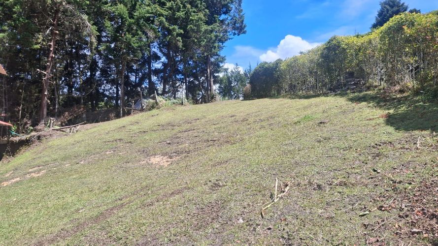 Finca en arriendo en Sajonia, Rionegro, 150 m² · foto 21 de 23