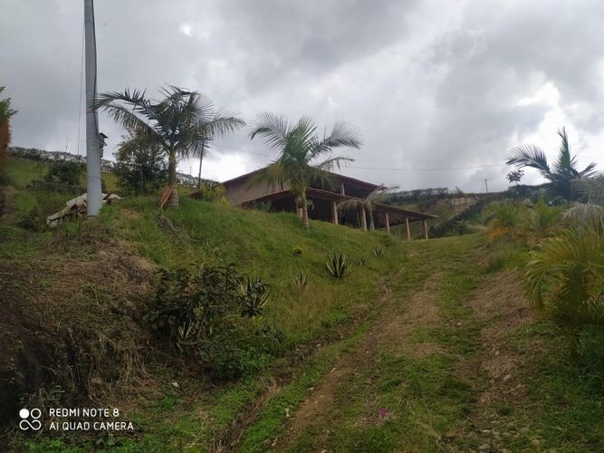 Casa de 4 alcobas en venta en Los Pinos, Rionegro, 285 m² · foto 4 de 24