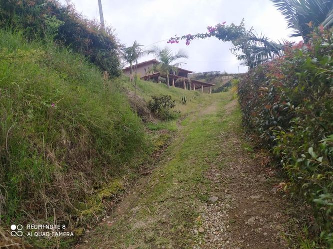 Casa de 4 alcobas en venta en Los Pinos, Rionegro, 285 m² · foto 10 de 24