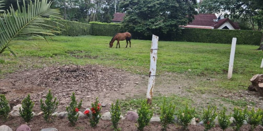 Finca en venta en Vanguardia, Villavicencio, 7500 m² · foto 4 de 5