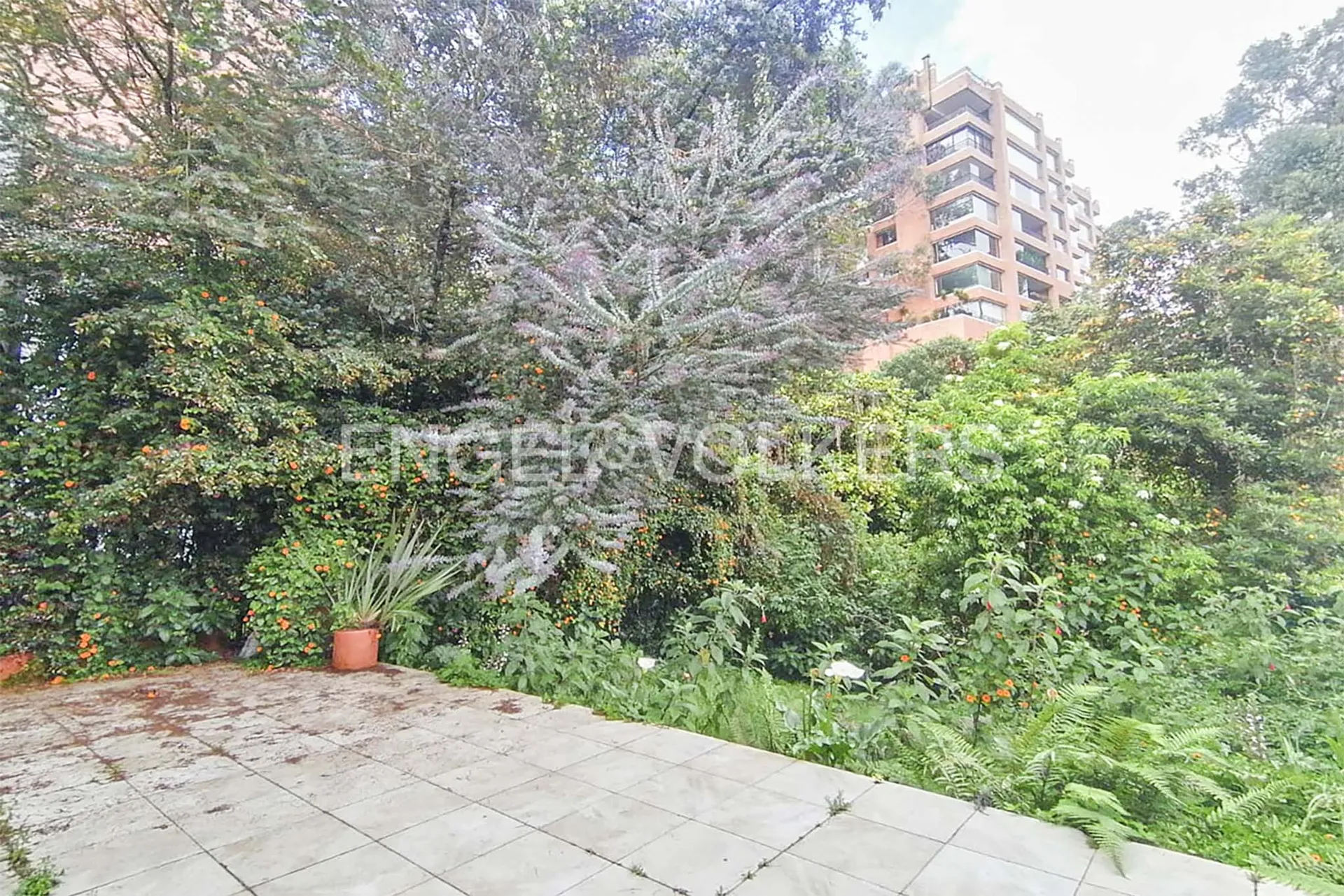 Casa en arriendo en Los Rosales, Bogotá · foto 4 de 14