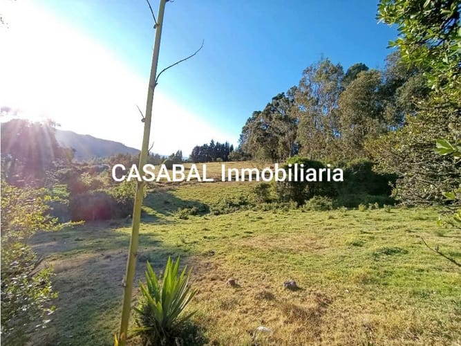 Lote en venta en El Porvenir, Tocancipá, 13000 m² · foto 4 de 18