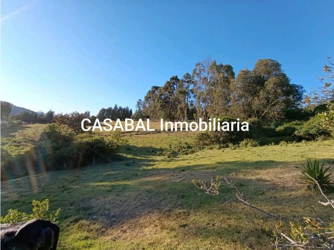 Lote en venta en El Porvenir, Tocancipá, 13000 m² · foto 6 de 18