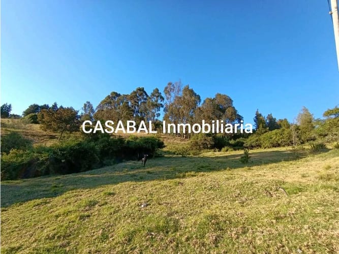 Lote en venta en El Porvenir, Tocancipá, 13000 m² · foto 12 de 18
