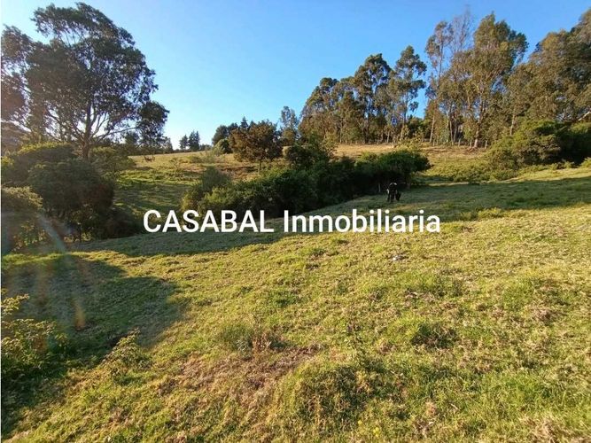 Lote en venta en El Porvenir, Tocancipá, 13000 m² · foto 15 de 18