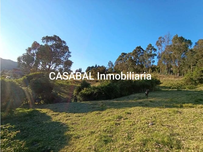 Lote en venta en El Porvenir, Tocancipá, 13000 m² · foto 10 de 18