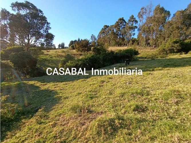 Lote en venta en El Porvenir, Tocancipá, 13000 m² · foto 16 de 18