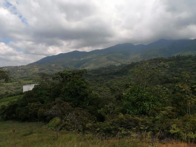 Lote en venta en Pance, Cali, 6000 m² · foto 4 de 8