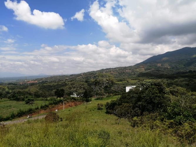 Lote en venta en Pance, Cali, 6000 m² · foto 8 de 8