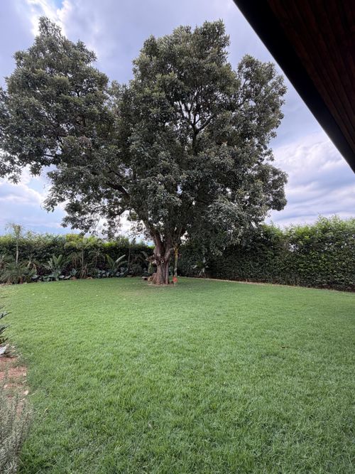 Casa de 3 alcobas en venta en La Morada, Jamundí, 470 m² · foto 21 de 22