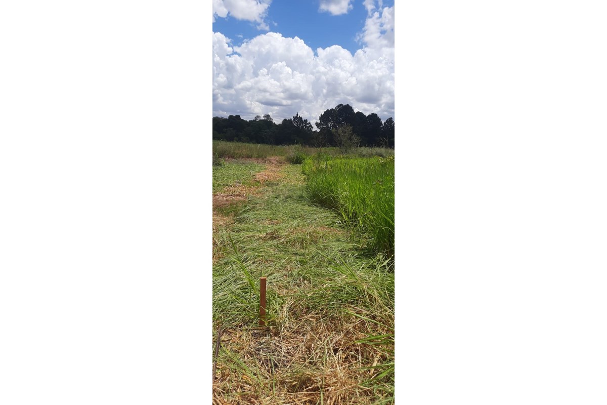 TERRENO EN VENTA KM16 MONDAY- MINGA GUAZU — foto 3