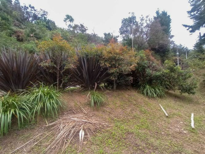 Casa de 3 alcobas en venta en La Convencion, Rionegro, 300 m² · foto 5 de 14