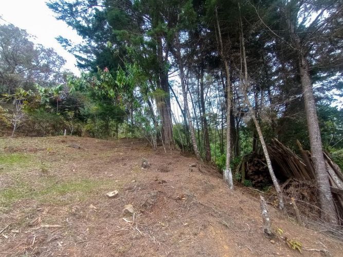 Casa de 3 alcobas en venta en La Convencion, Rionegro, 300 m² · foto 7 de 14