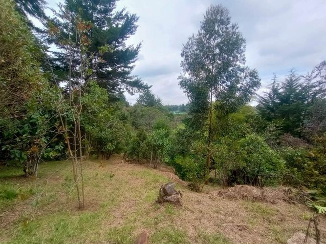 Casa de 3 alcobas en venta en La Convencion, Rionegro, 300 m² · foto 8 de 14