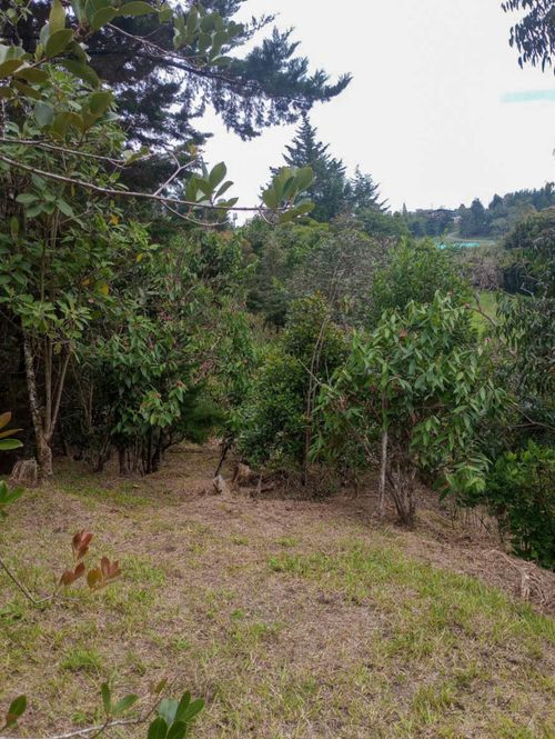 Casa de 3 alcobas en venta en La Convencion, Rionegro, 300 m² · foto 10 de 14