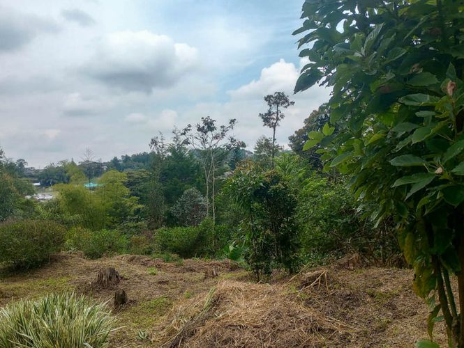 Casa de 3 alcobas en venta en La Convencion, Rionegro, 300 m² · foto 11 de 14
