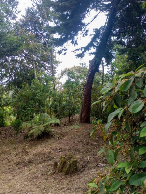 Casa de 3 alcobas en venta en La Convencion, Rionegro, 300 m² · foto 12 de 14