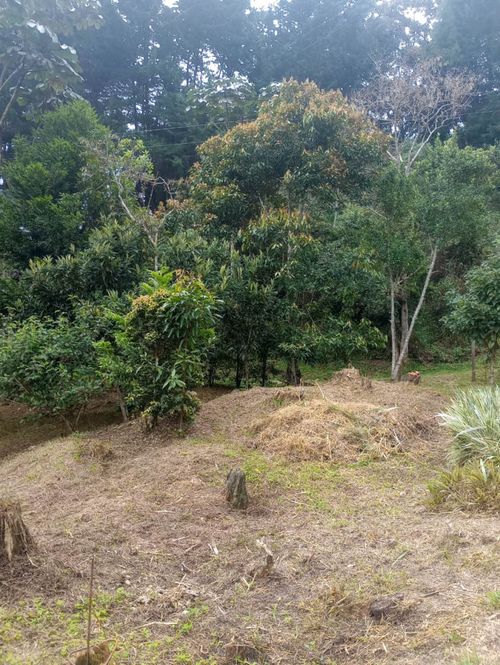 Casa de 3 alcobas en venta en La Convencion, Rionegro, 300 m² · foto 13 de 14