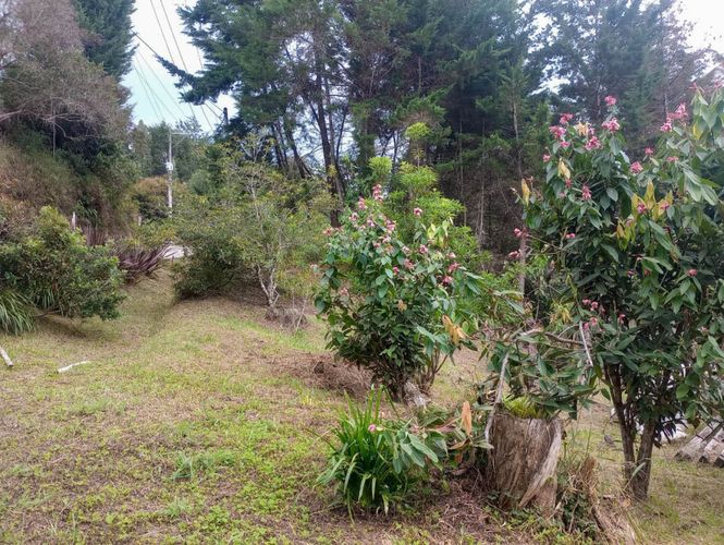 Casa de 3 alcobas en venta en La Convencion, Rionegro, 300 m² · foto 14 de 14