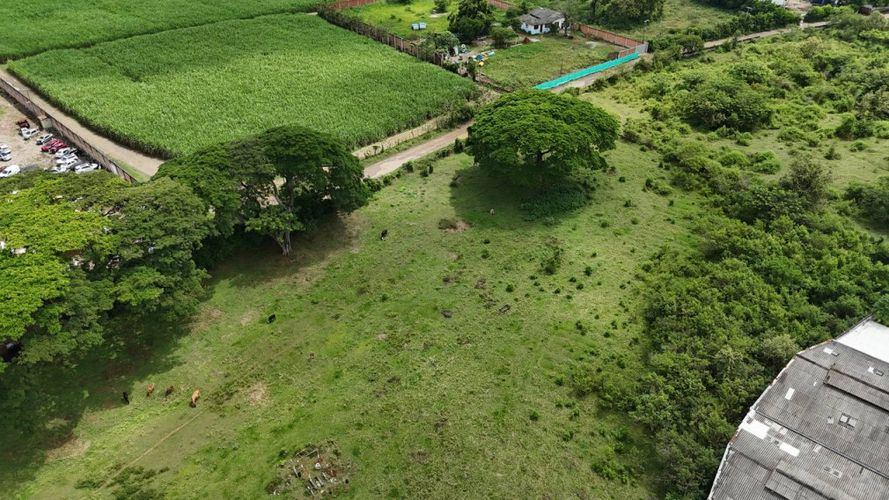 Lote en venta en Juanchito, Candelaria, 17712 m² · foto 4 de 16