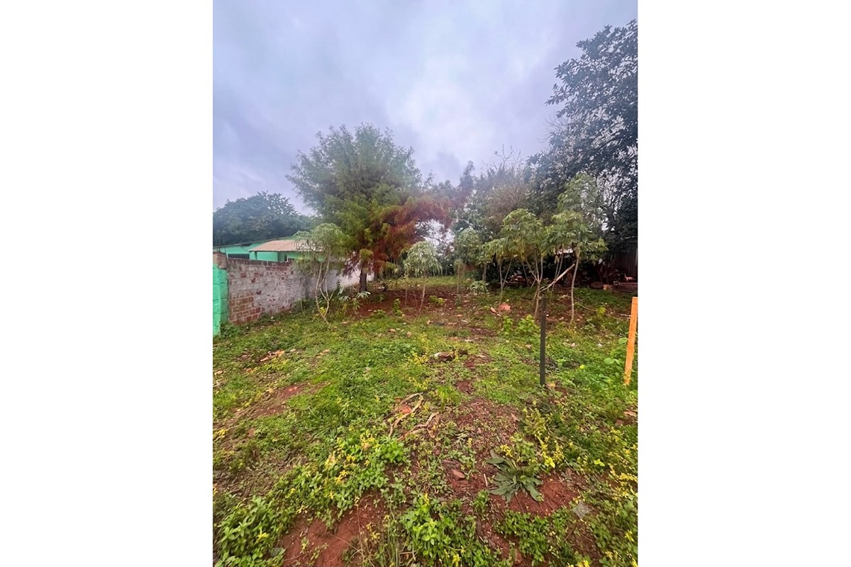 TERRENO EN VENTA - Hernandarias — foto 3