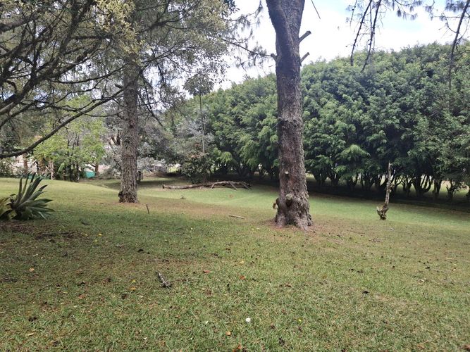 Finca en arriendo en El Retiro, 350 m² · foto 3 de 24