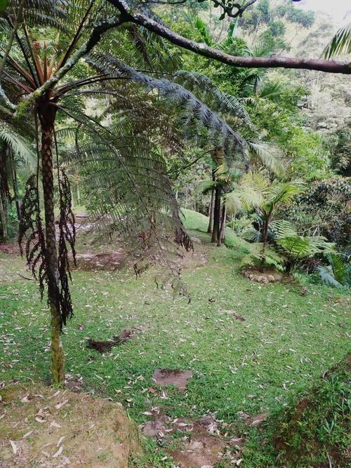 Finca en venta en Villa Carlota, Medellín, 400 m² · foto 17 de 23