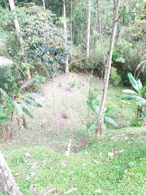 Finca en venta en Villa Carlota, Medellín, 400 m² · foto 19 de 23