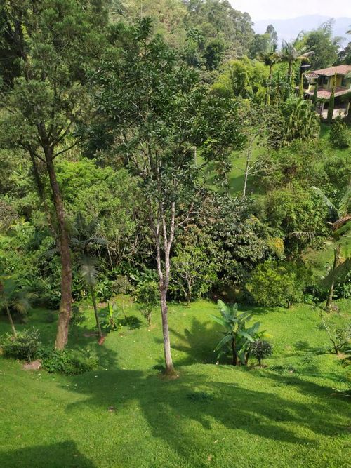 Finca en venta en Villa Carlota, Medellín, 400 m² · foto 21 de 23