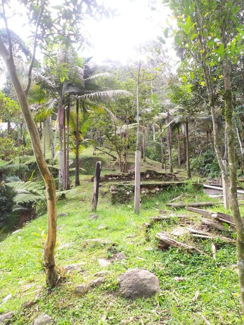 Finca en venta en Villa Carlota, Medellín, 400 m² · foto 22 de 23