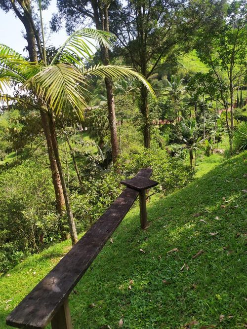 Finca en venta en Villa Carlota, Medellín, 400 m² · foto 23 de 23
