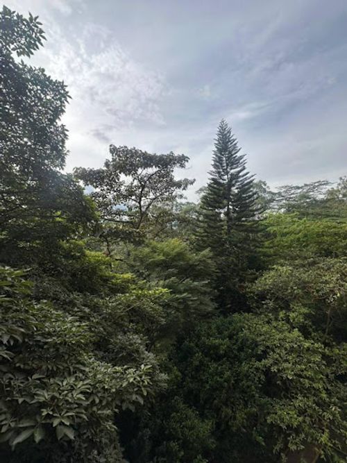 Apartamento de 3 alcobas en arriendo en Loma Del Campestre, Medellín, 142 m² · foto 11 de 24