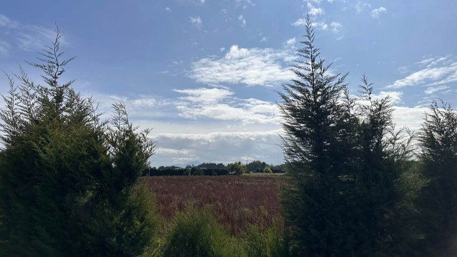 Lote en venta en La Magnolia, Madrid, 18105 m² · foto 11 de 11