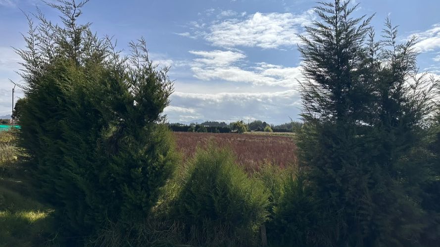 Lote en venta en La Magnolia, Madrid, 18105 m² · foto 5 de 11
