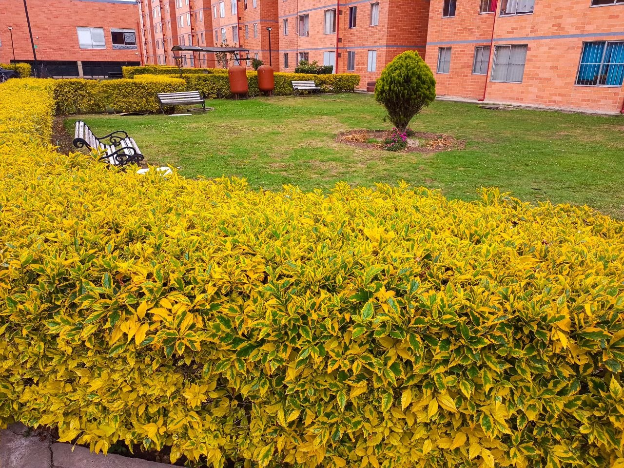 Apartamento en venta en Parque Industrial Santo Domingo, Mosquera · foto 17 de 20