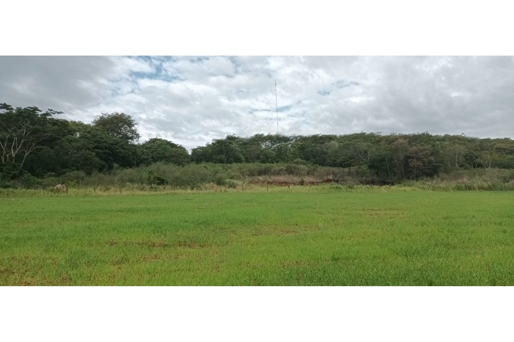 "Tu Oasis Rural en San Pedro Del Paraná" — foto 3
