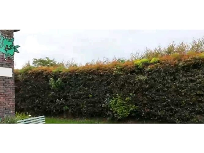 Lote en venta en Cr El Bosque, Cajicá, 1500 m² · foto 12 de 15