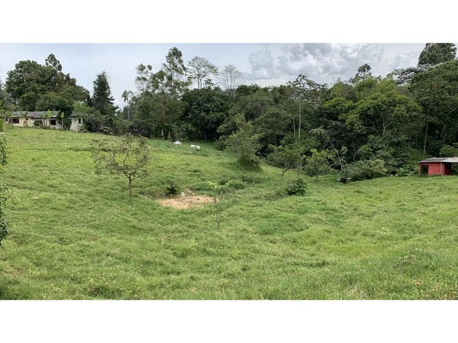 Lote en venta en San Antonio, Armenia, 11445 m² · foto 2 de 19